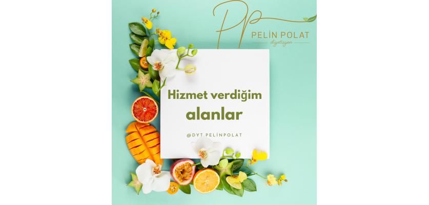 Hizmet Verdiğim Alanlar